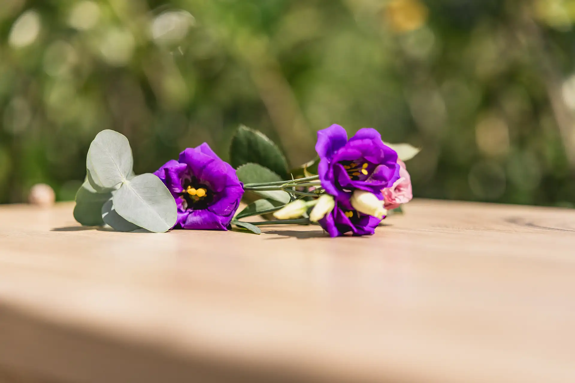 Twee paarse lathyrusbloemen en een lichtgroene eucalyptusblad liggen op een houten oppervlak dat scherp in beeld is. De achtergrond is vaag en onscherp, met vlekken van groen en licht. De foto straalt een serene en delicate sfeer uit.